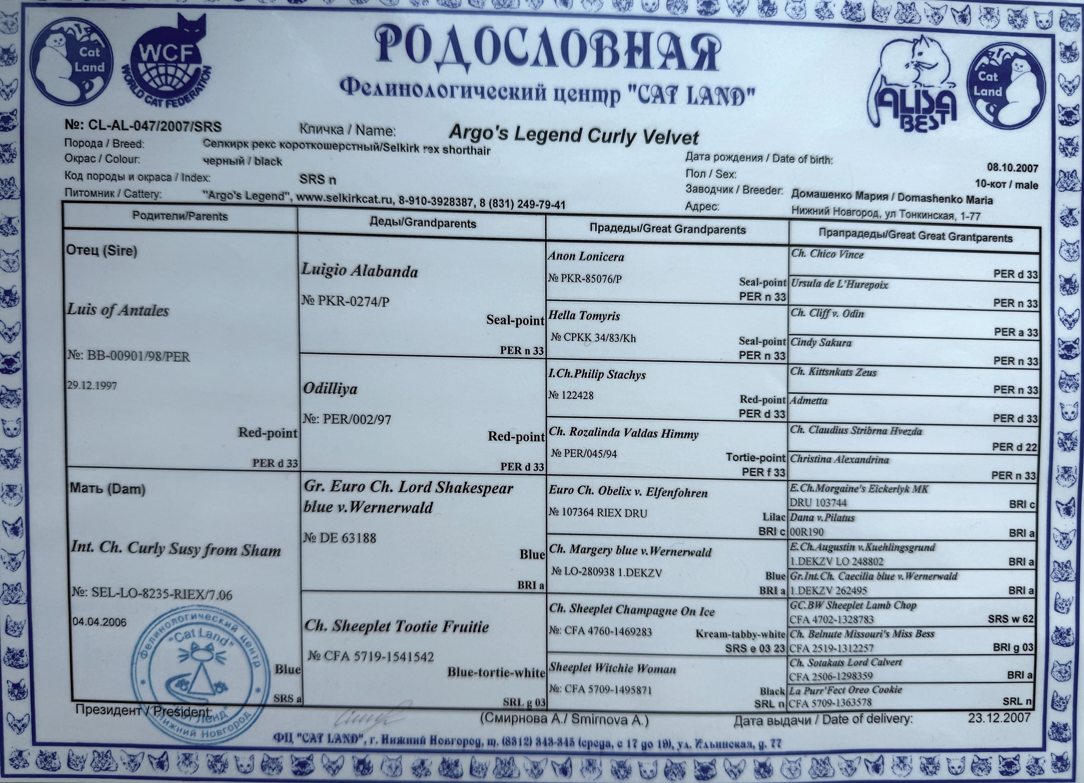 Родословная Argo’s Legend Curly Velvet 2007 года