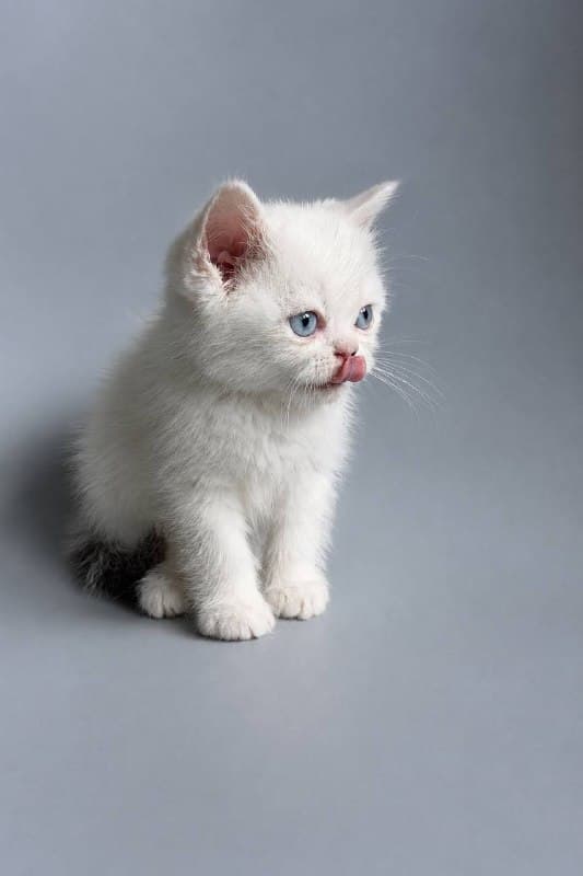 Иллюзион, фотография 2