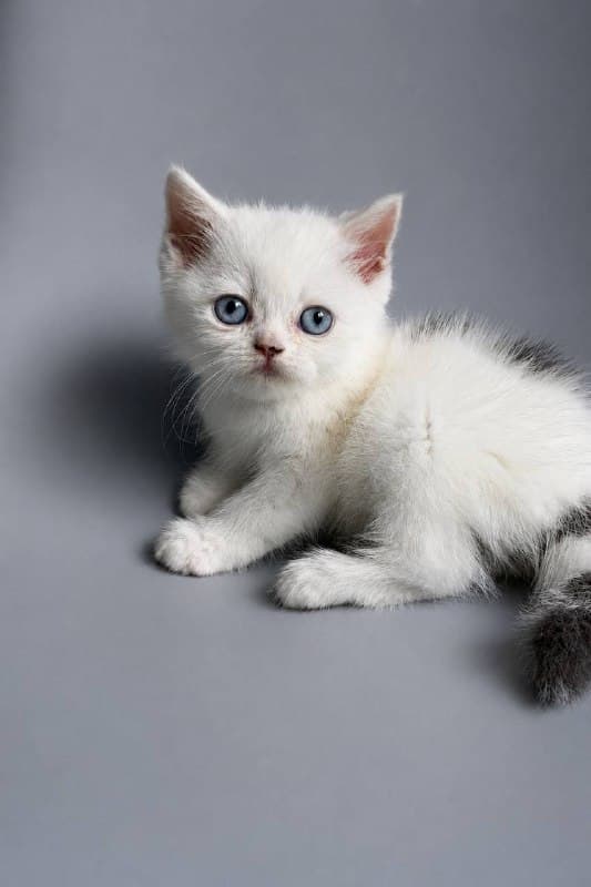 Иллюзион, фотография 6