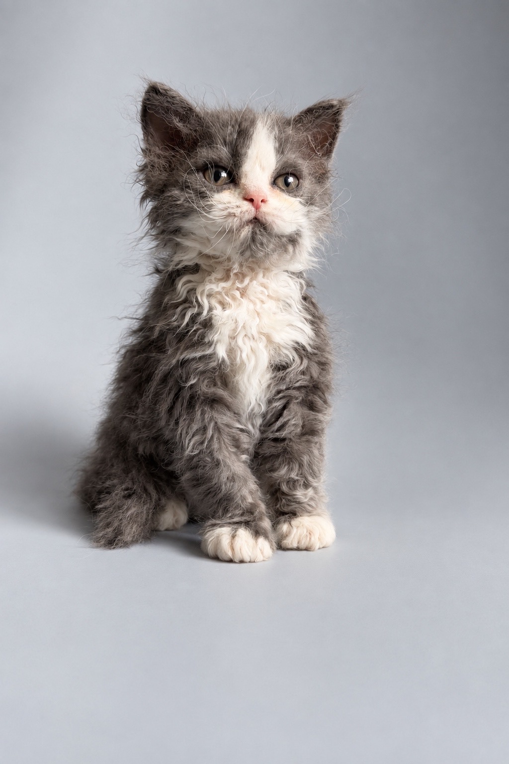 Photo of Hermes
